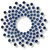 American Society for Cell Biology